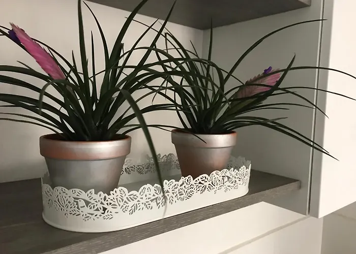 Apartament Petite Pause A Beauvais